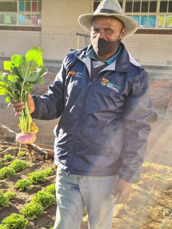 Titus Plaaitjies with beetroot from his vegetable garden.
