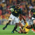 Springboks