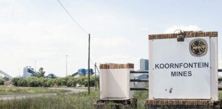 SCA rules BRPs should seize ex-Gupta companies