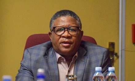 Fikile Mbalula Dubai