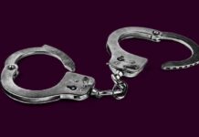 Cop arrested for stealing millions from SAPS coffers Mother of triplets