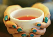 Rooibos exports hit record high