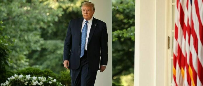 Trump wins US elections