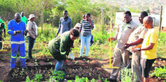 Women in agriculture