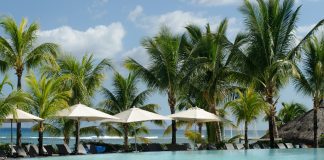 Photo by Lelani Badenhorst from Pexels