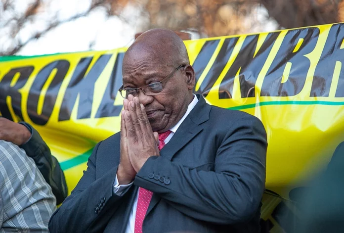 P1-zuma-ETCH-1