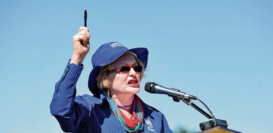 Helen Zille GNU remarks