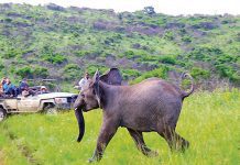 Budget speech: Pleas for biodiversity crisis funding as SA nature reserves collapse