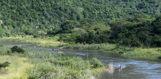 Two Buffalo City learners drown at Amalinda Forest dam