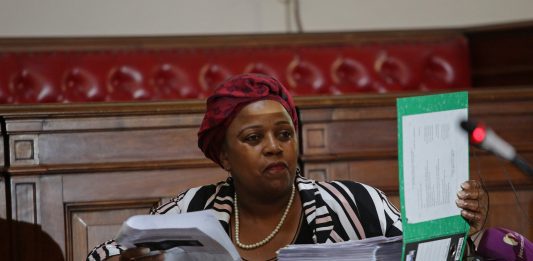 Dudu Myeni corruption case