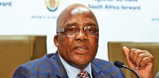 Motsoaledi is new health minister