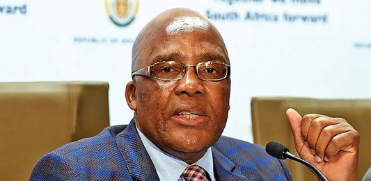 Motsoaledi is new health minister