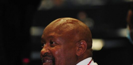'IEC's English election pledge disrespectful' — ABC's Mavundla