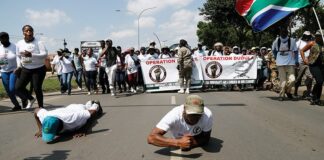 Operation Dudula and anti-immigration laws