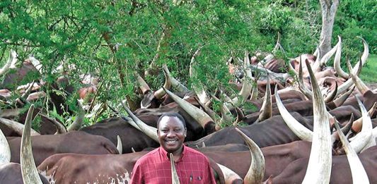 Phala Phala