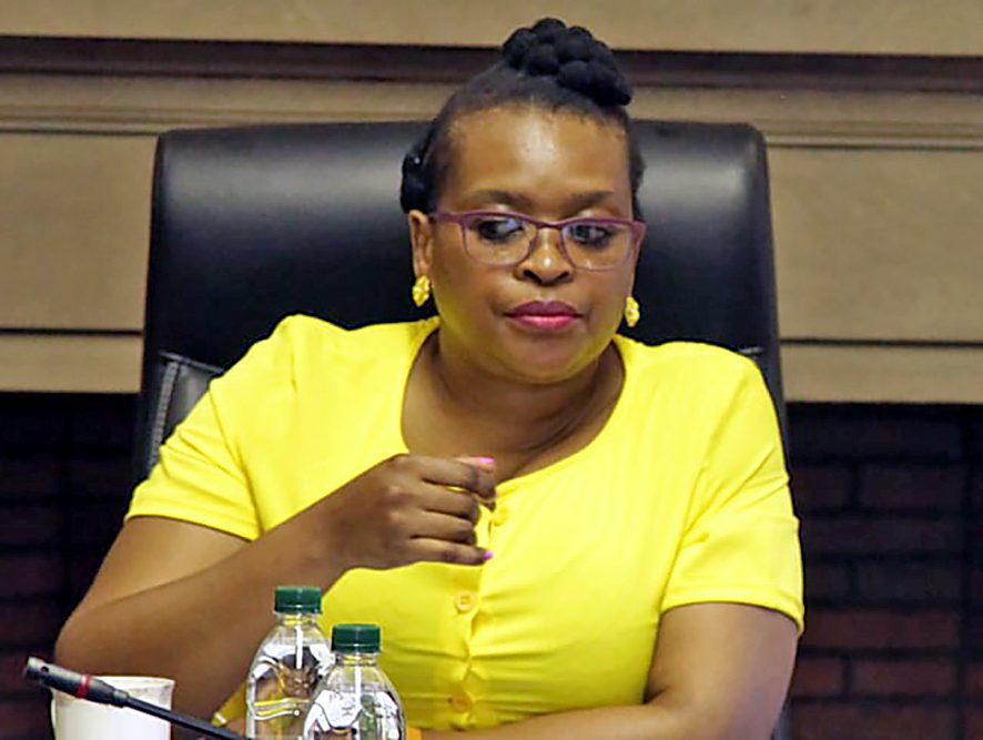 Deputy minister's wife Buti Manamela