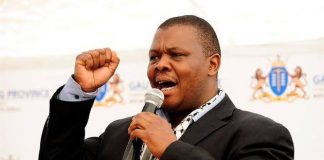 DA tells ANC MEC: You have no power to grant acting extensions