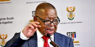 A college head says Nzimande dissolving the NSFAS board and putting it under administration will not solve the systematic corruption embedded within the institution.