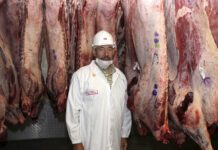 Reflections on 2025 and outlook for cattle and beef industry