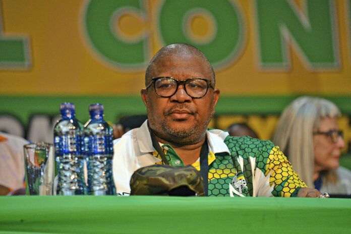 ANC boss Fikile Mbalula