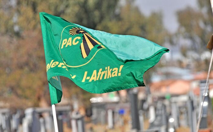 Azapo, PAC to hold summit for joint approach ahead of 2024 vote thumbnail