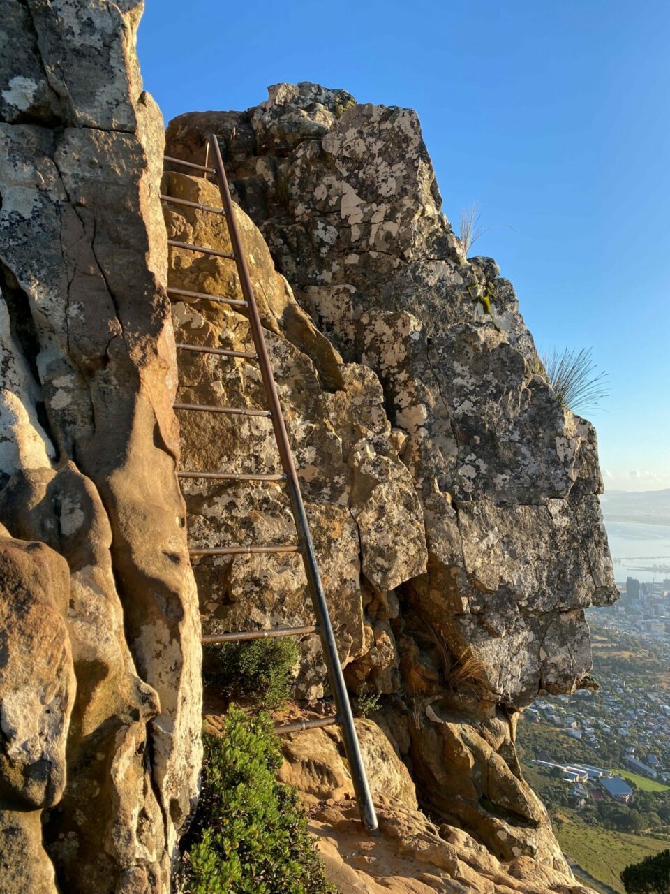 Hiker falls and dies at Lion's Head