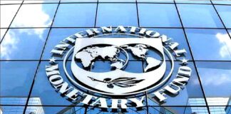 IMF and World Bank