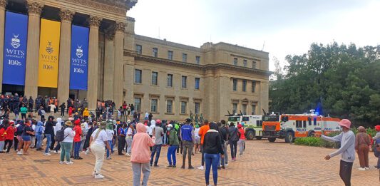 Wits