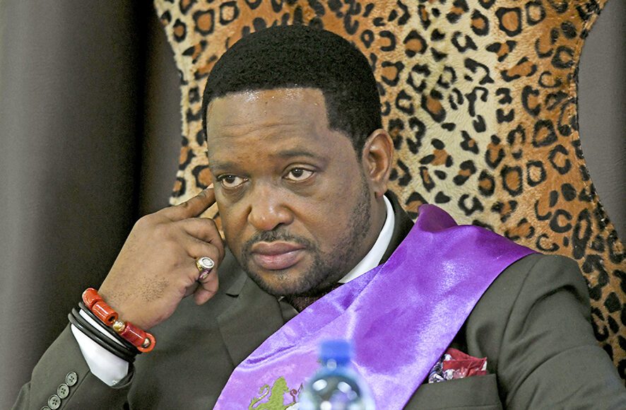 King’s role in Ingonyama Trust under scrutiny