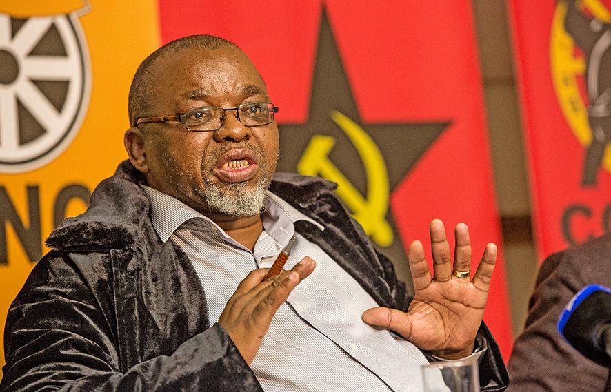 Mantashe tribalism claims