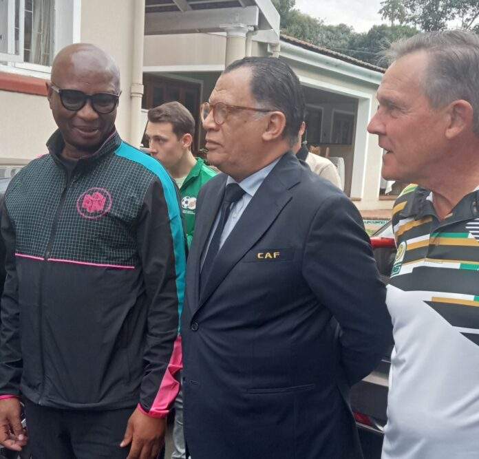 Motsepe and Kodwa