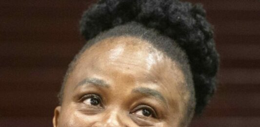 Mkhwebane's