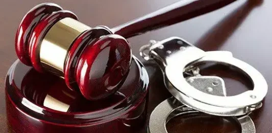 Eastern Cape man, 20, gets life sentence for gruesome femicide
