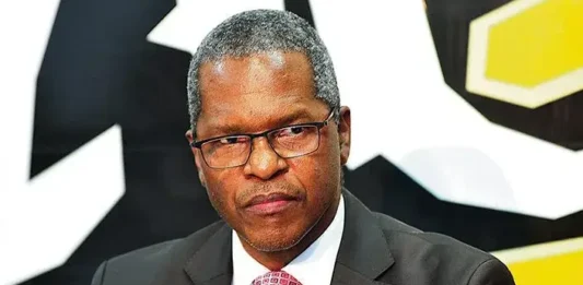 CoGTA minister Hlabisa's international travels