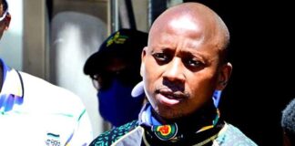 Ramaphosa’s calm demeanour  saved the day