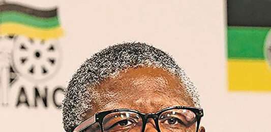 Fikile Mbalula
