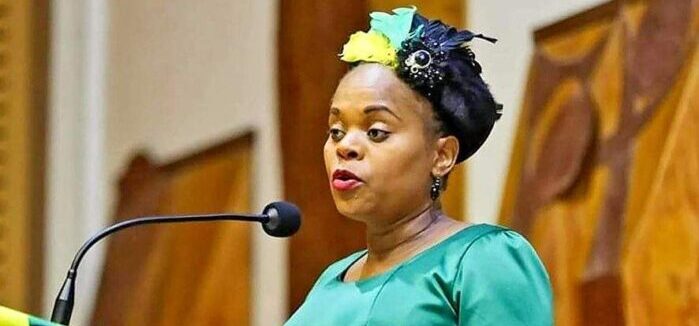 Limpopo Premier
