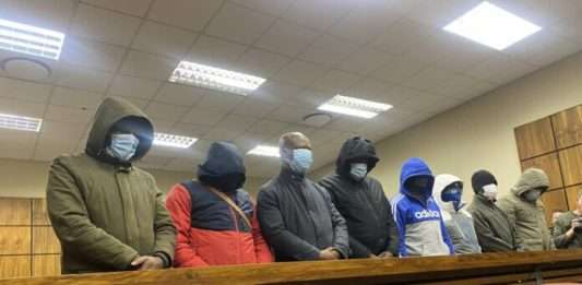 Mashatile VIP protection