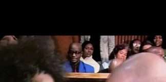 Thabo Bester case