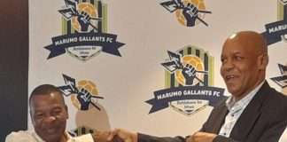 Marumo Gallants
