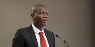 Parliament wants Lamola to explain suspension of Israeli embassy