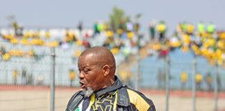 Gwede and Thulas Nxesi