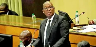 ANC Youth League demands MEC post from Panyaza Lesufi