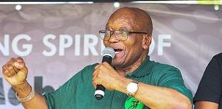 Jacob Zuma wins appeal