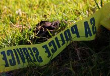 Nozipho Dlamini Ι Law enforcement and communities must stand together to fight crime in Gauteng Dead woman found floating in the river