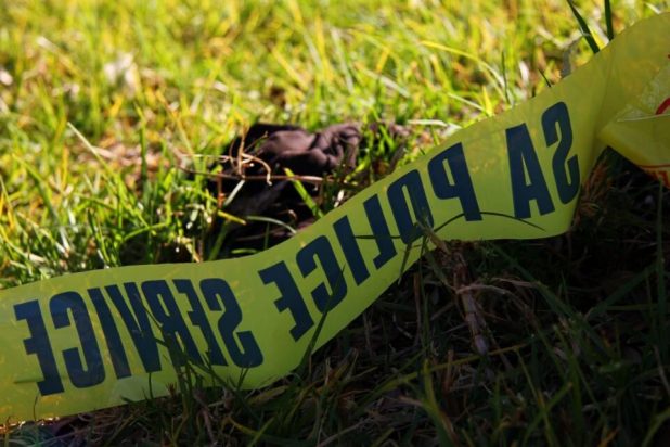 Nozipho Dlamini Ι Law enforcement and communities must stand together to fight crime in Gauteng