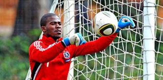 Lawyer grills top sleuth on number of men who killed Senzo Meyiwa