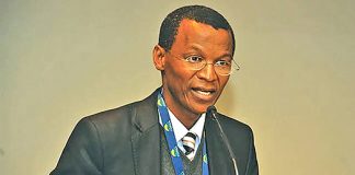 Pepi Silinga, Suspended exec linked to purported smear