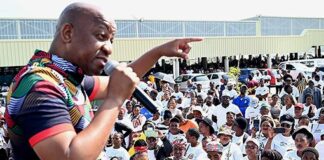 KZN parties search for post-elections coalition partners