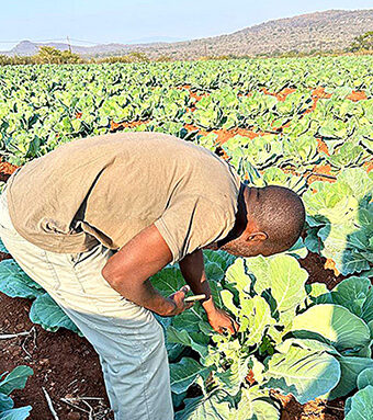 Netwoking helped small-scale farmer get into the big time Netwoking helped small-scale farmer get into the big time